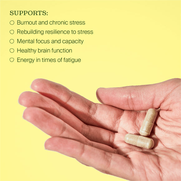 BePure Burnout Rescue 60 capsules