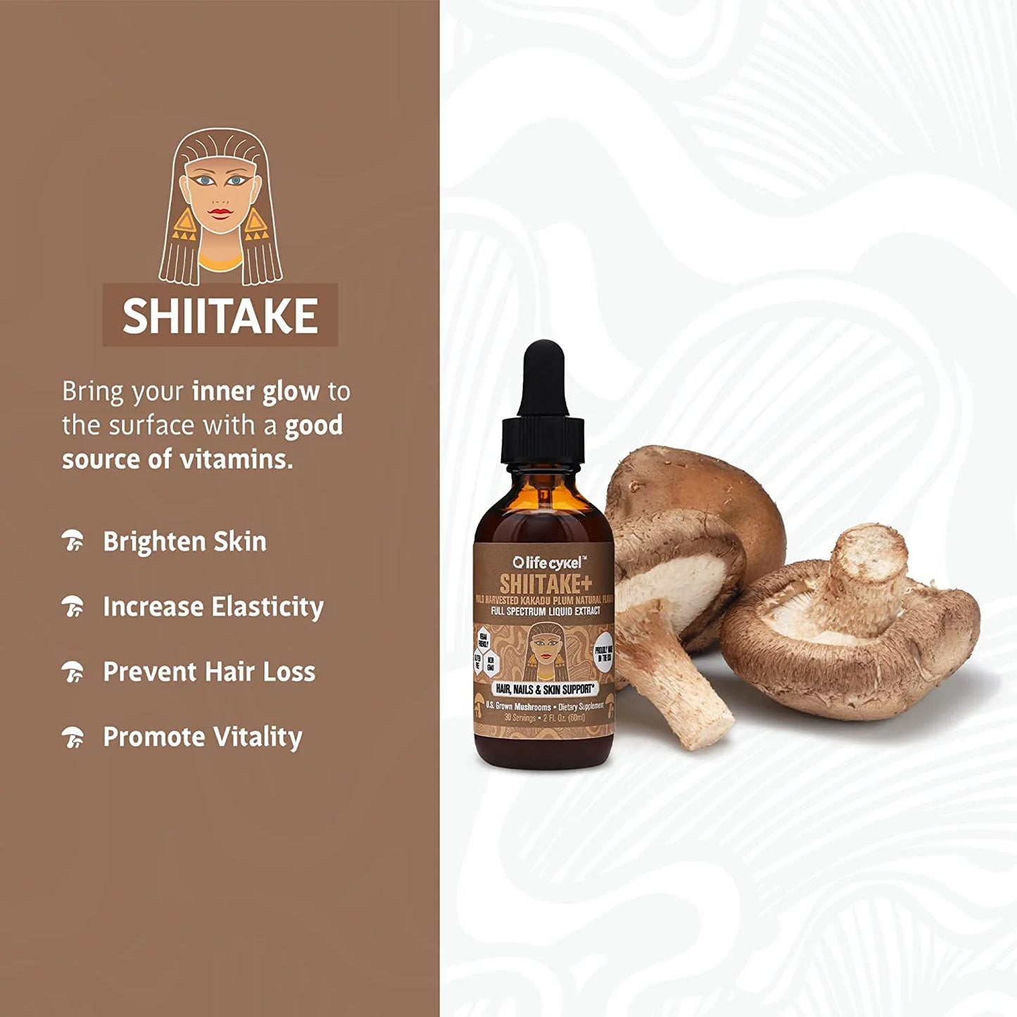 Lifecykel Shiitake Mushroom Liquid Extract 60ml