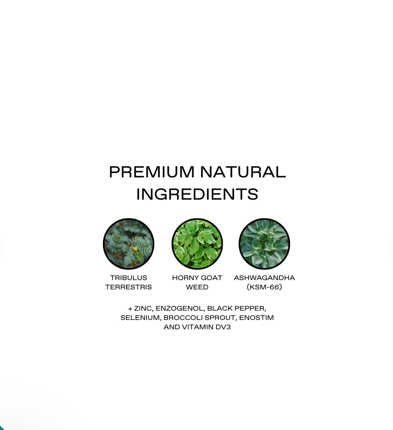 Intenza Herbal Ignite for HIM Max, 90cap