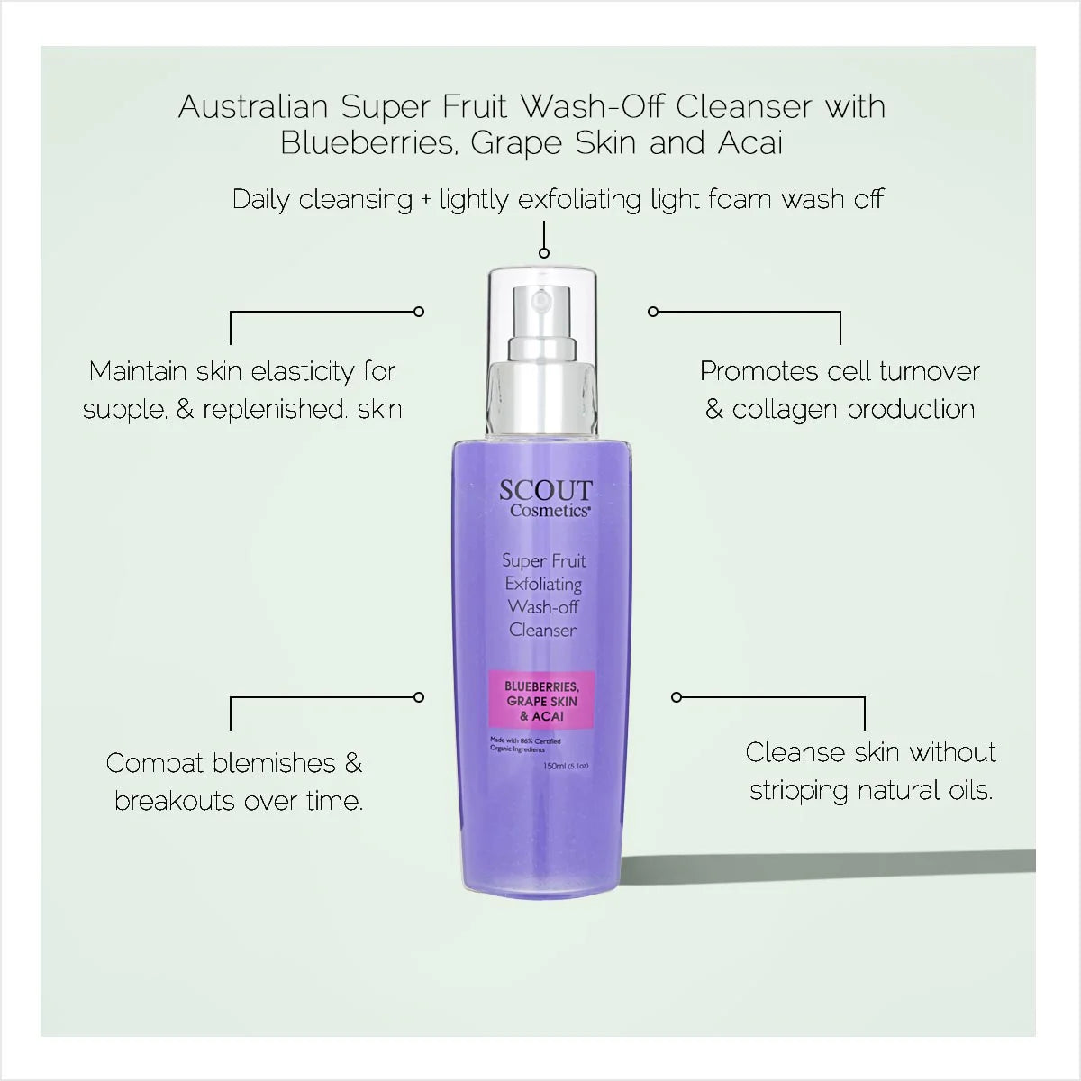 Super Fruit Wash-Off Cleanser with Blueberries, Grape Skin and Acai