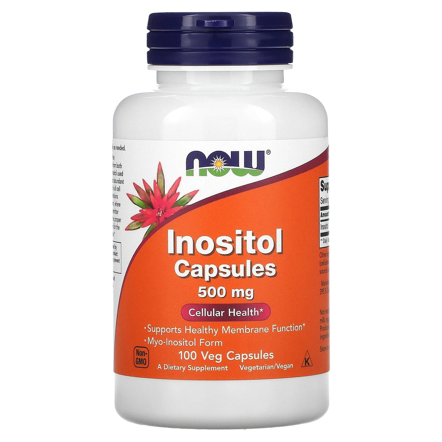Now Inositol 100caps