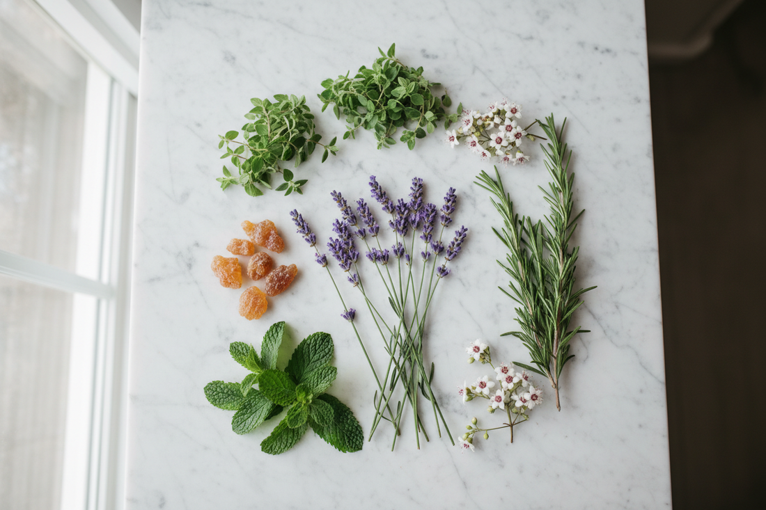 Essential Oils for Winter Wellness: A Practical Guide