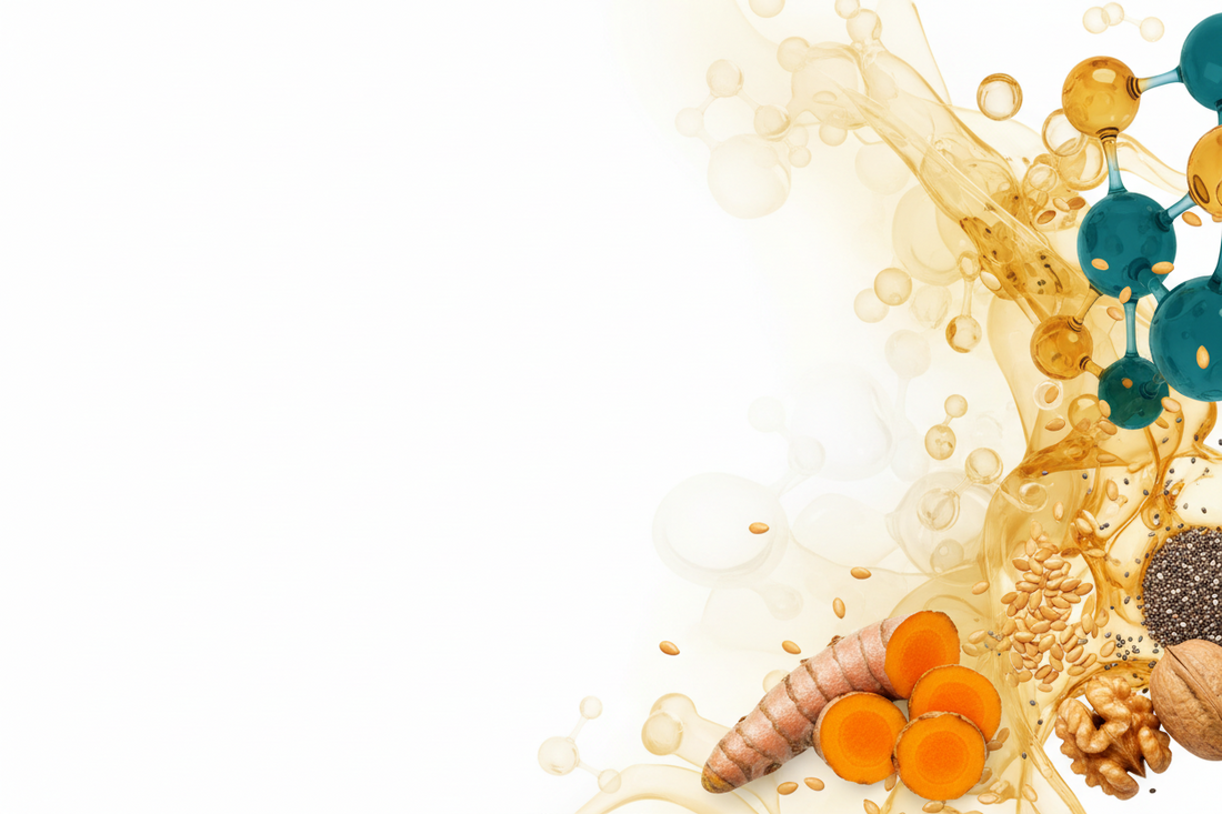 Inflammation & Immune Dysregulation: The Complete Clinical Guide