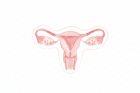 Oestrogen Dominance: What It Is, Why It Happens & How to Rebalance Naturally