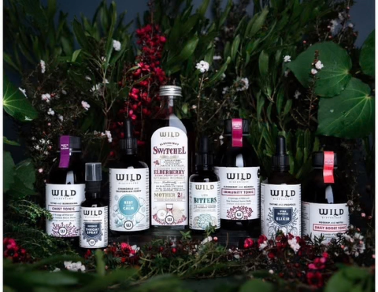 Wild Dispensary