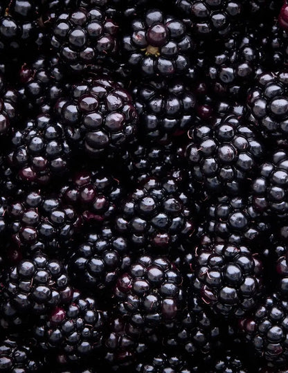 PUKKA Morning Berry 20 T/Bags