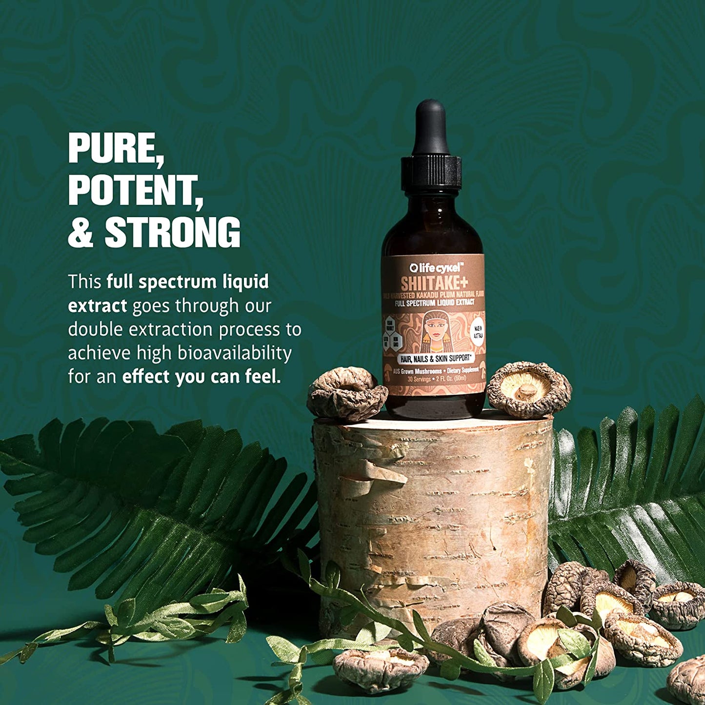 Lifecykel Shiitake Mushroom Liquid Extract 60ml