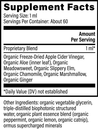 Global Healing Acid Reflux Relief 59.2 ml