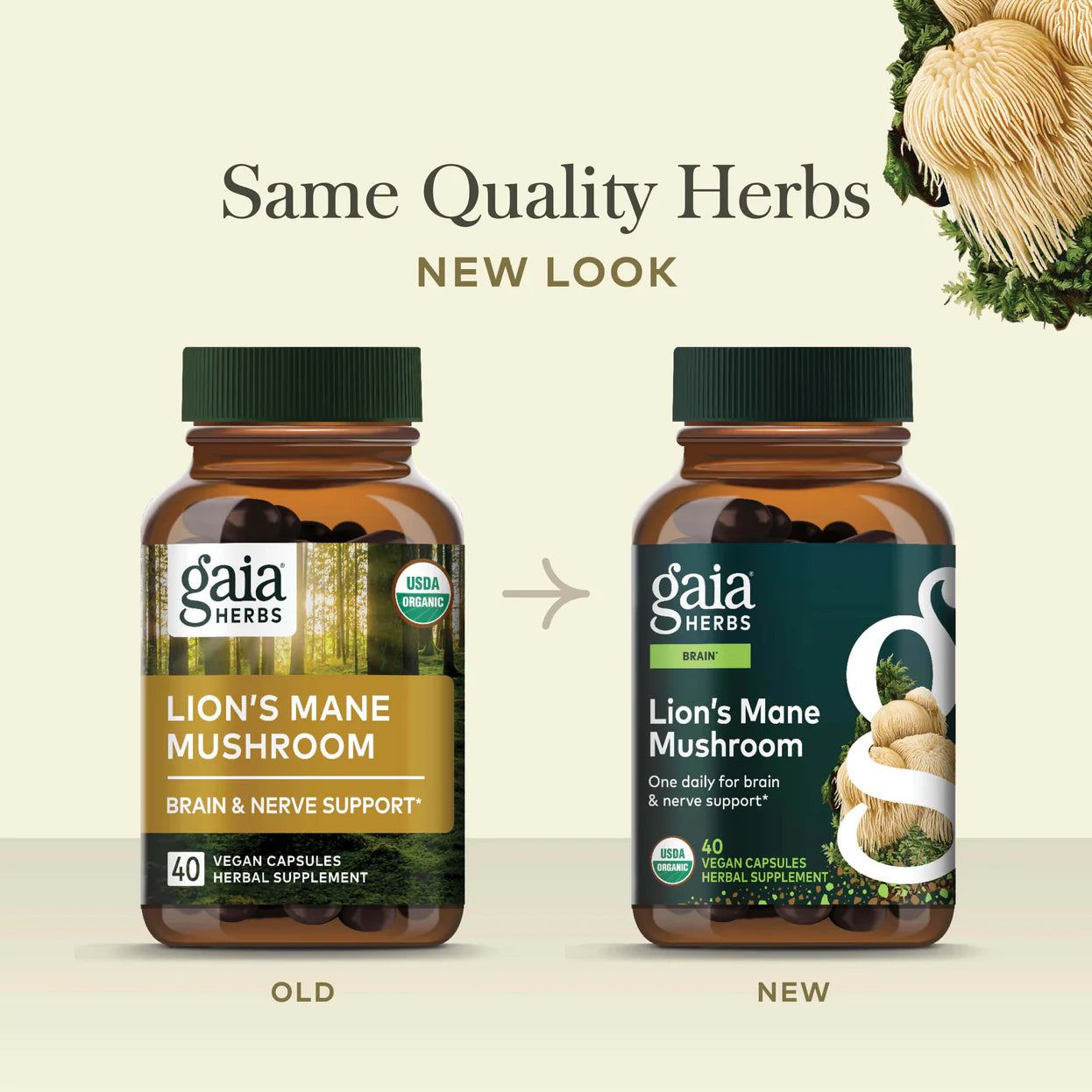 Gaia Herbs Lion's Mane Mushroom 40vc