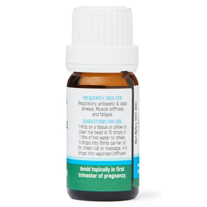 Dolphin Clinic Essential oil Eucalyptus 10ml