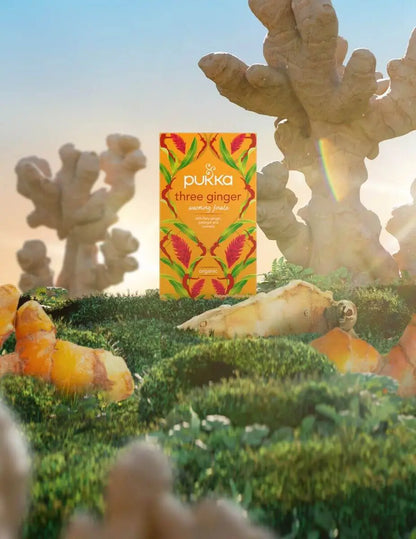 PUKKA  Three Ginger  20 T/Bags