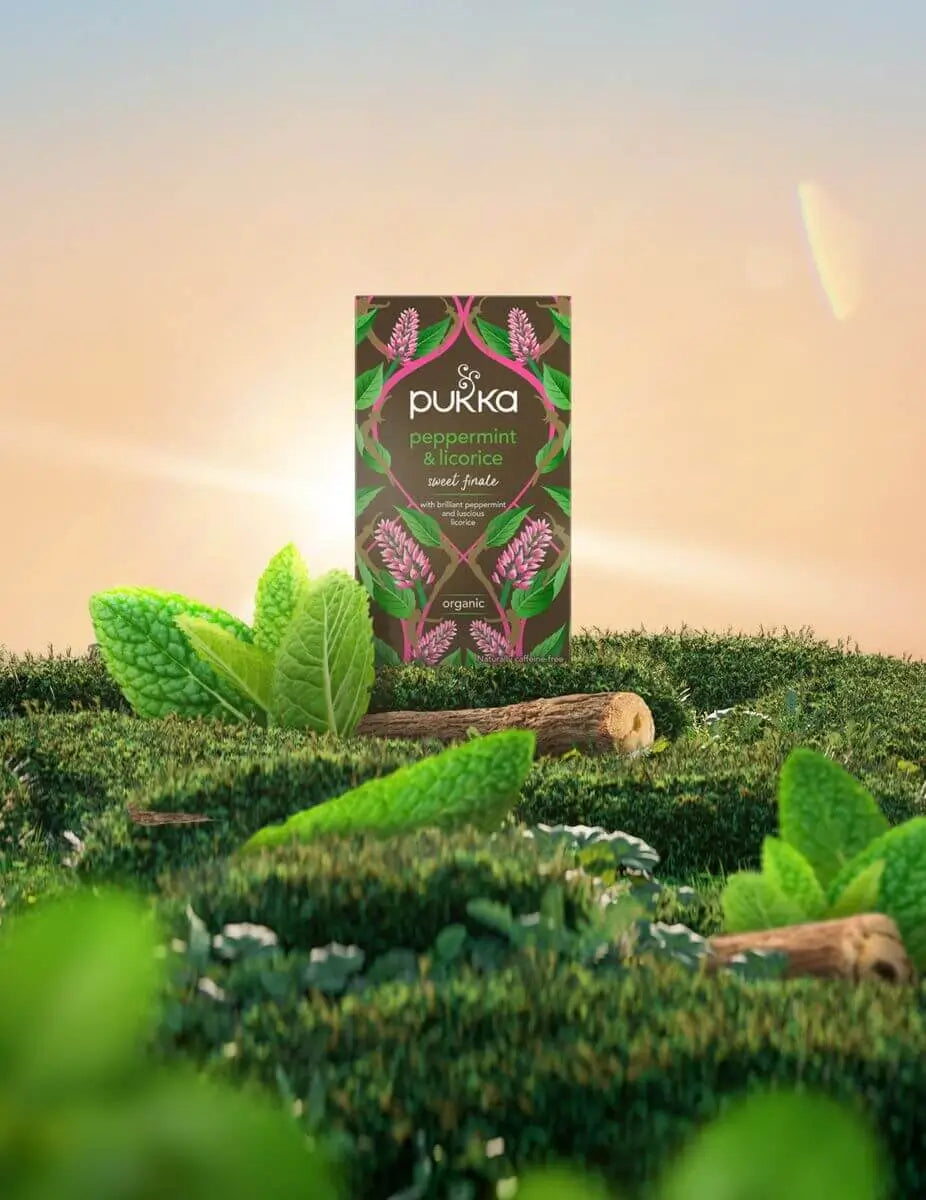PUKKA Peppermint & Licorice 20 T/Bags