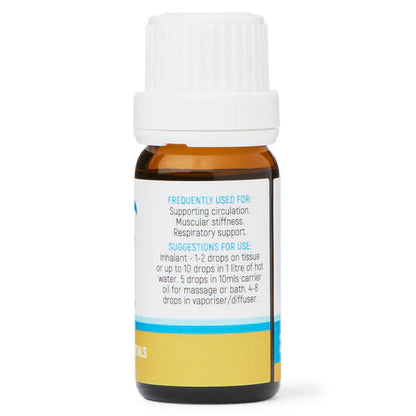 Dolphin Clinic Essential Oil Camphor 10ml