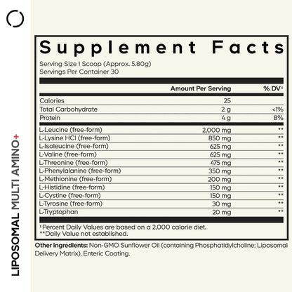 CodeAge Liposomal Multi Amino + Powder, 174g