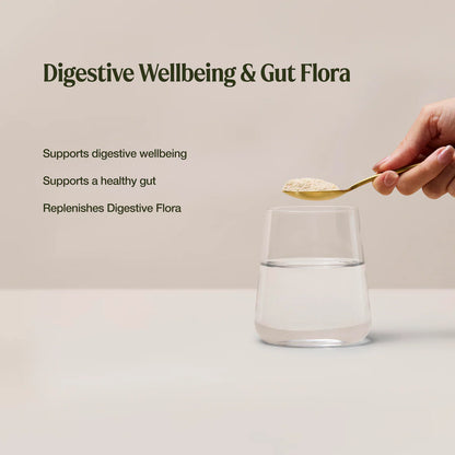 Raw Organic Probiotics Cloudy Apple 100g