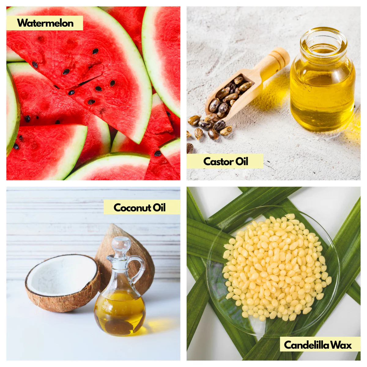 Sol Goods Everyday Sunscreen SPF50